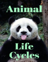 Animal_Life_Cycles-Rachel_Bladon.epub